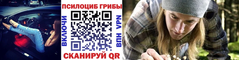 Купить закладки  Новый Уренгой  Галлюциногенные грибы Psilocybine cubensis 